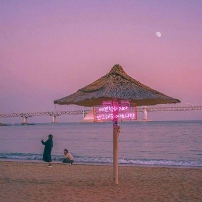 246天天好彩下载手机版